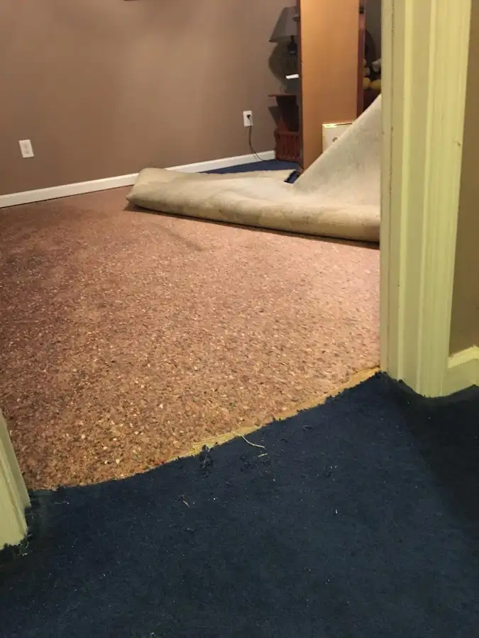 Carpet pad removal revealing water damage during Drying & Dehumidification in Mount Carmel