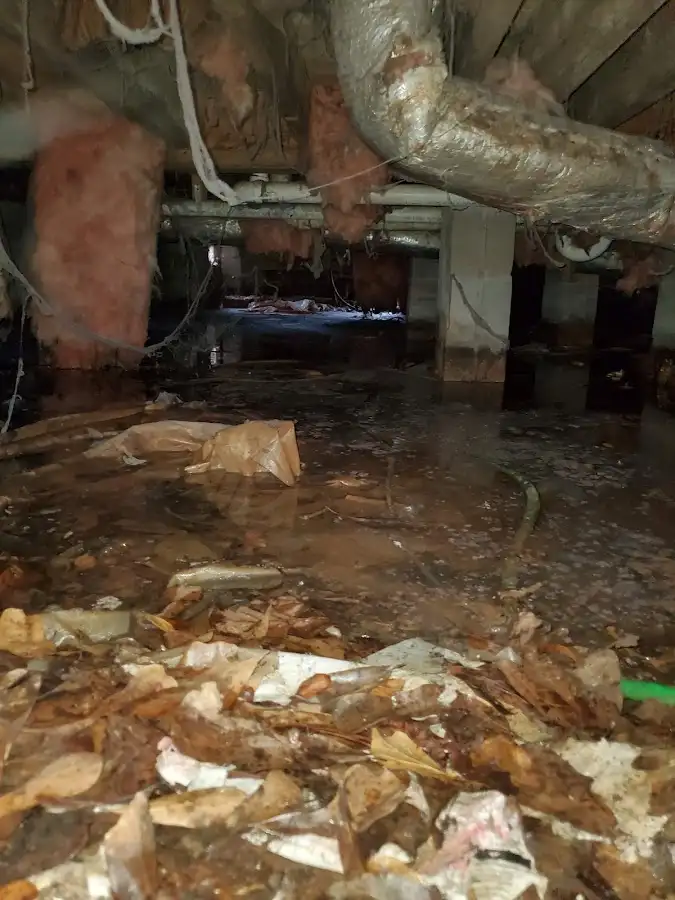 Crawl space flood assessment for Leak Detection & Repair in Mount Carmel